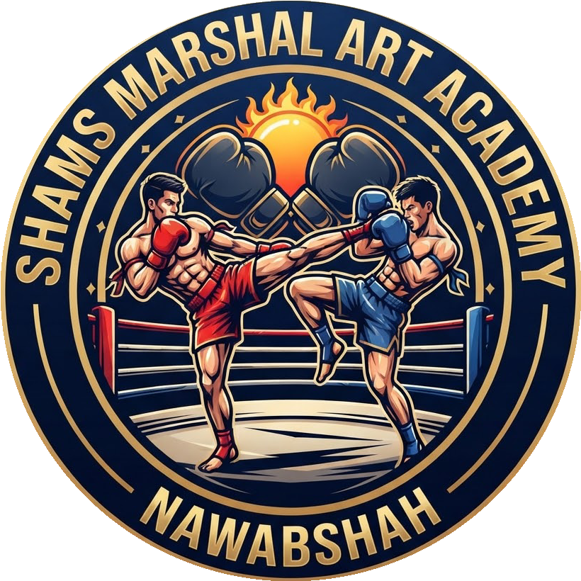 Shams Marshal Art Academy
